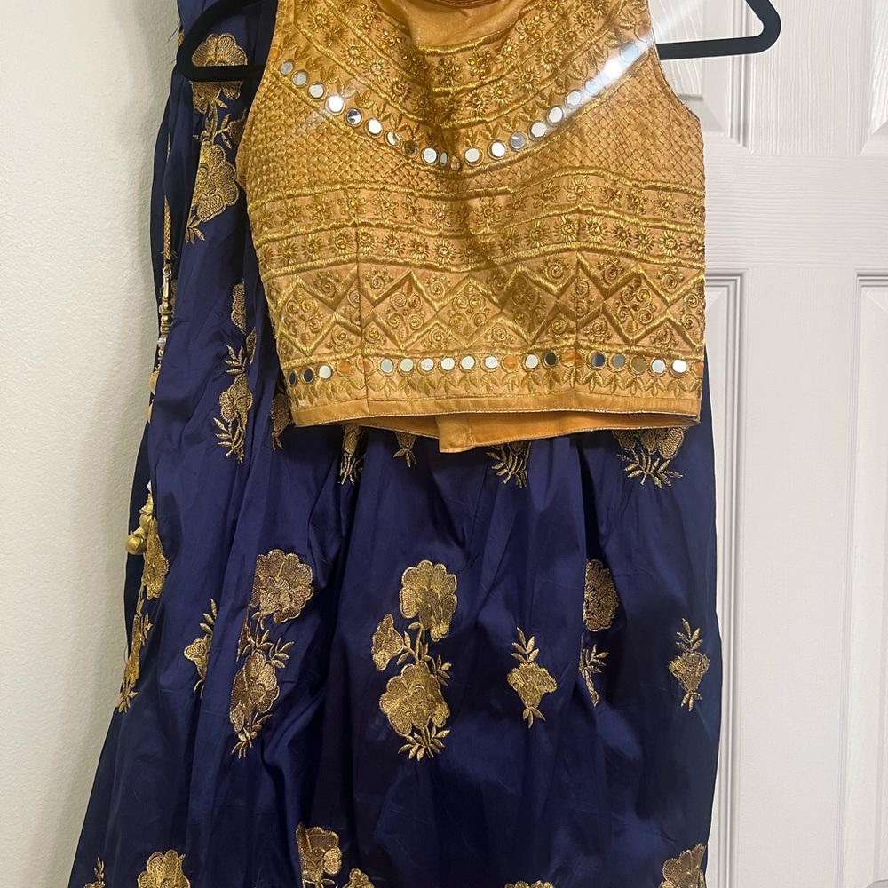 Gold and Blue Embroidered Lehenga Choli